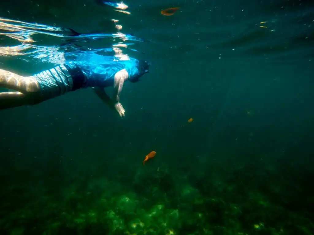 Adventuring in Catalina Island underwater