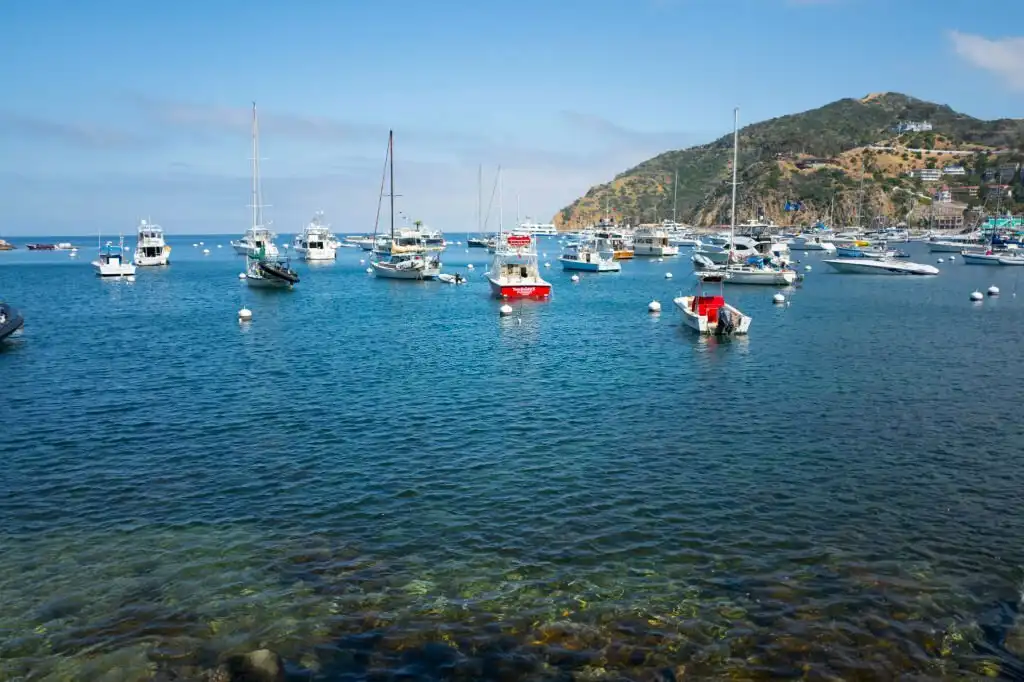 Boat Charters Catalina Island California