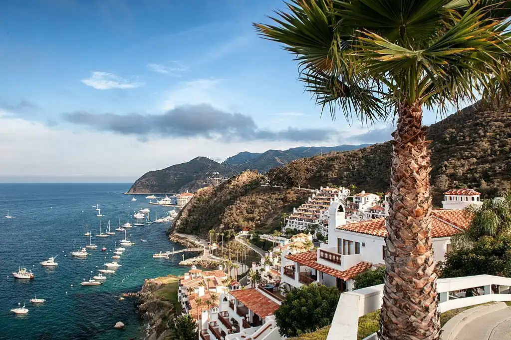 Catalina Island Resort and Avalon Bay