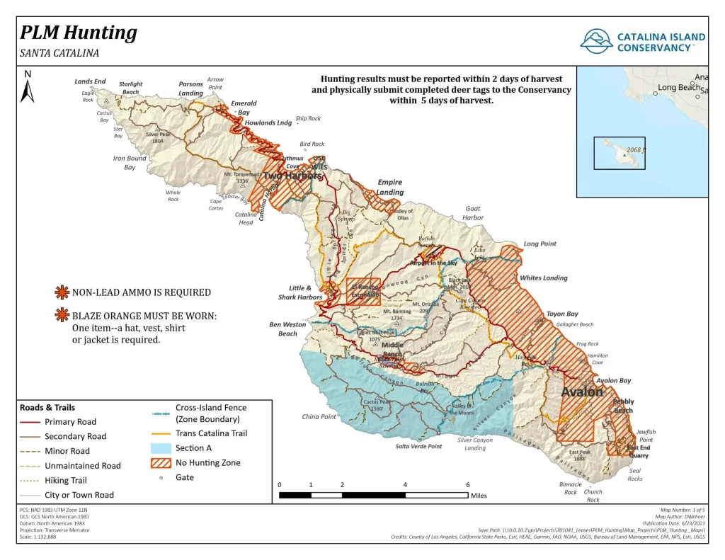 Deer hunting on Catalina Island