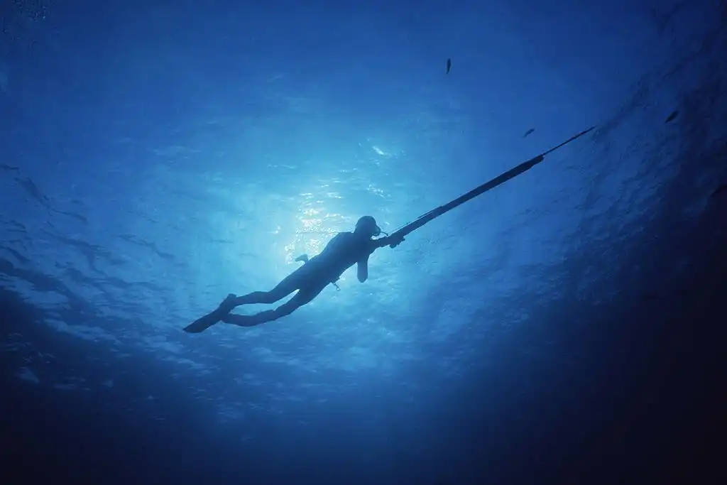 Spear Fisherman in Blue Water