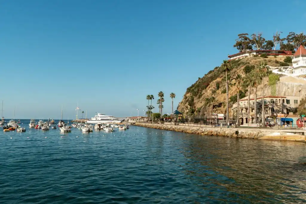 Sailing around Catalina - the Avalon Loop