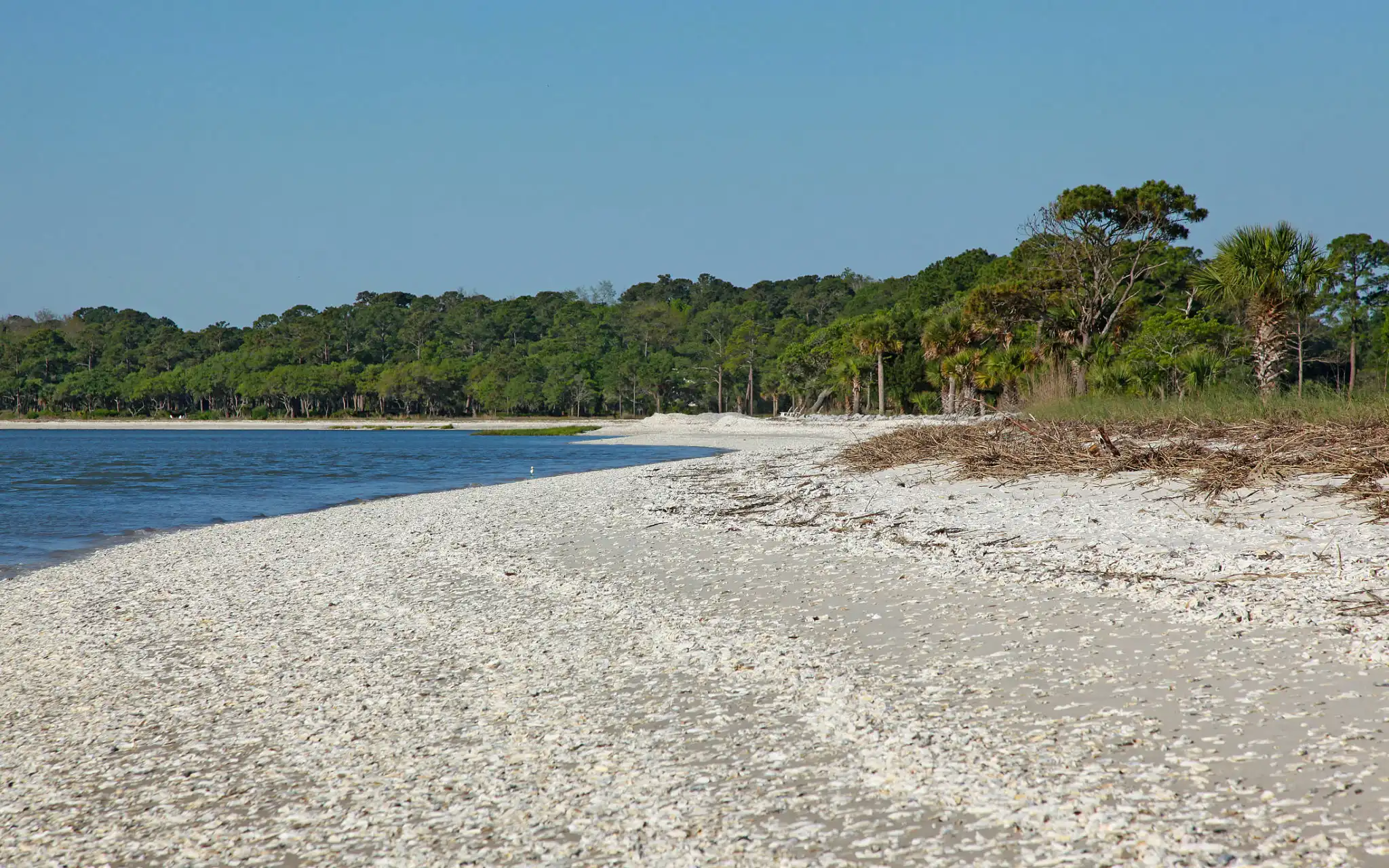 Things to Do on Daufuskie Island