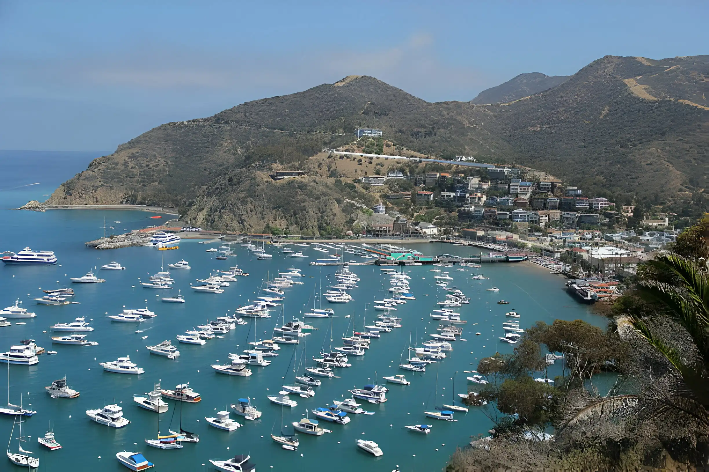 Catalina Island Weather In February