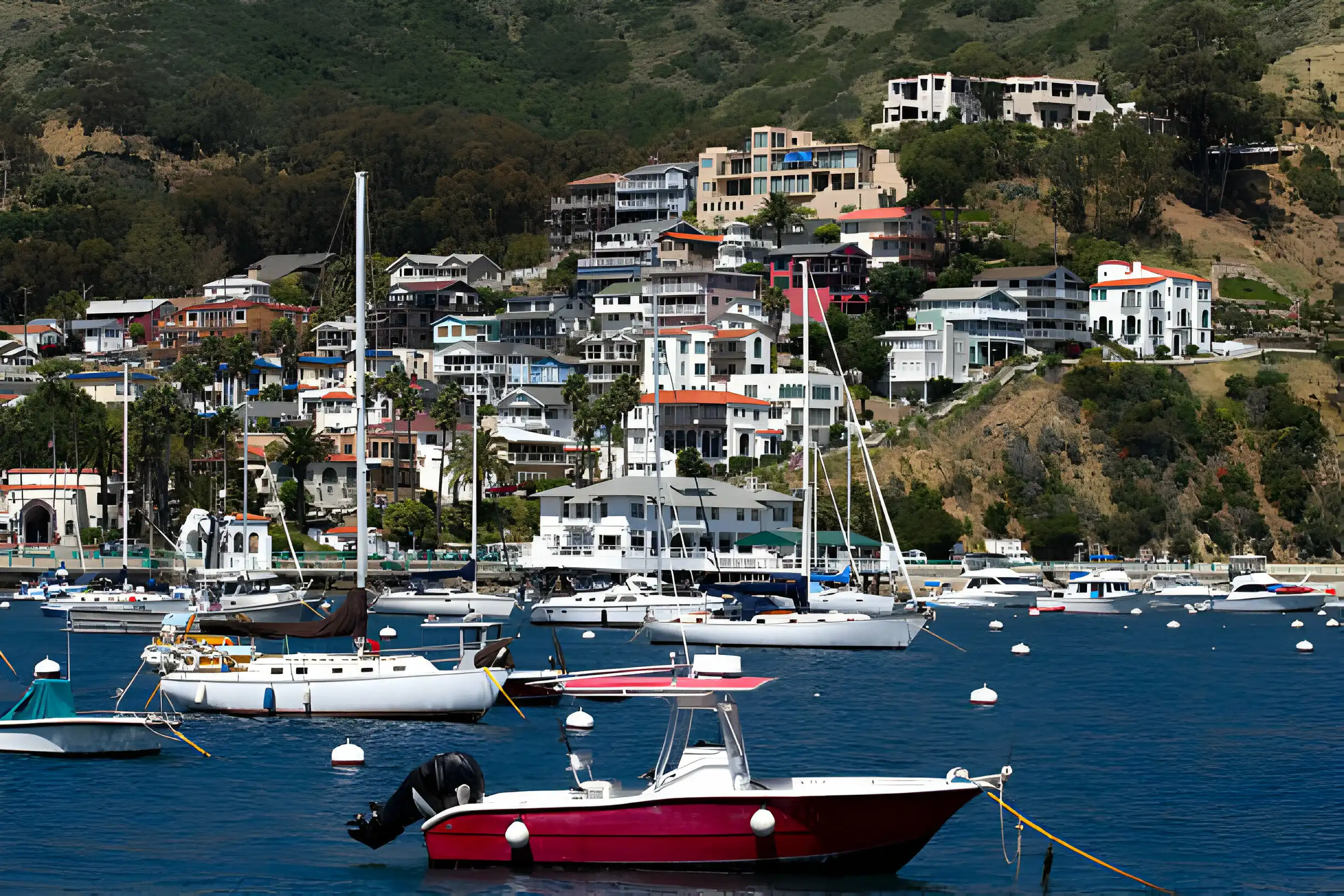 catalina island in march