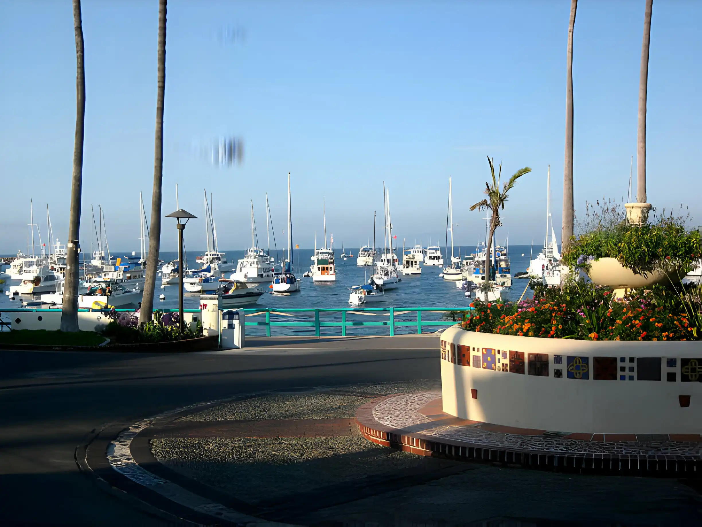 Catalina Island Day Trip Packages