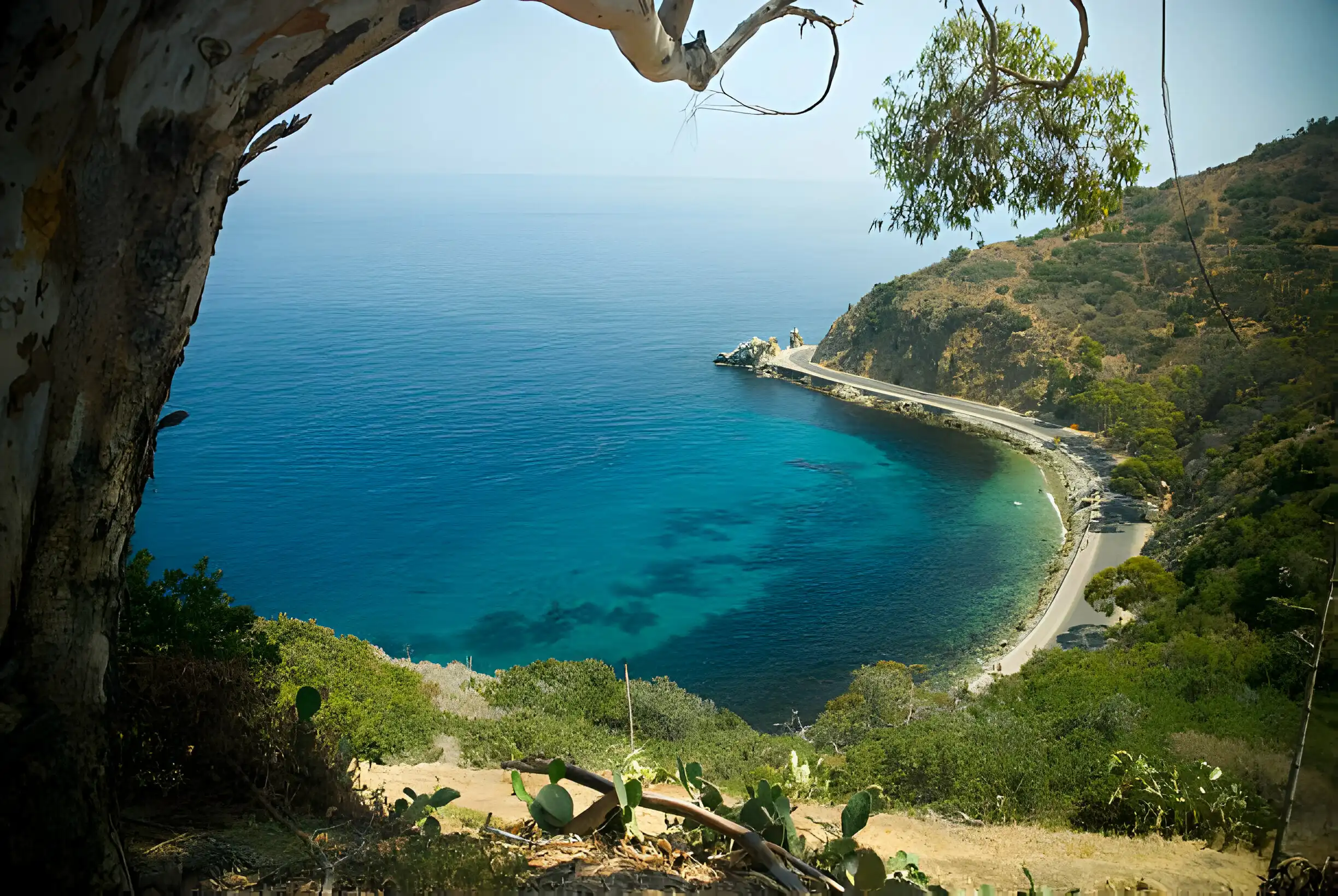 beaches in catalina island