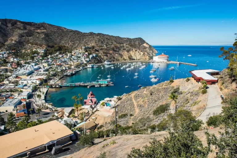 Common Questions About Visiting Catalina Island