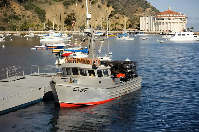 Catalina Island Fishing Charters