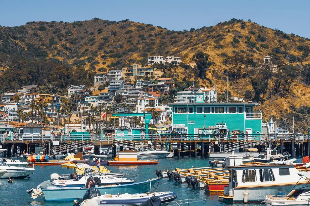 Common Questions About Visiting Catalina Island