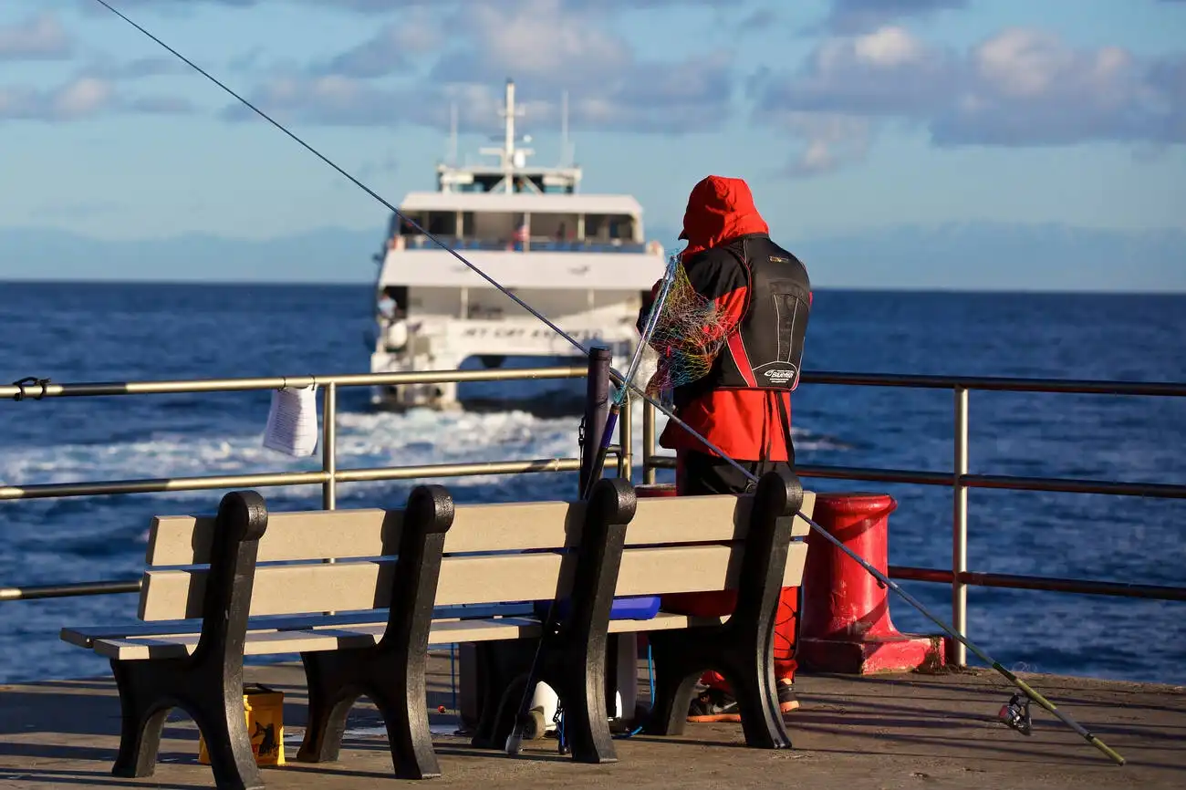 Catalina Island Fishing Charters