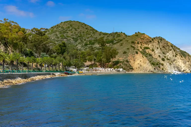 Health and Safety Information in Catalina Island