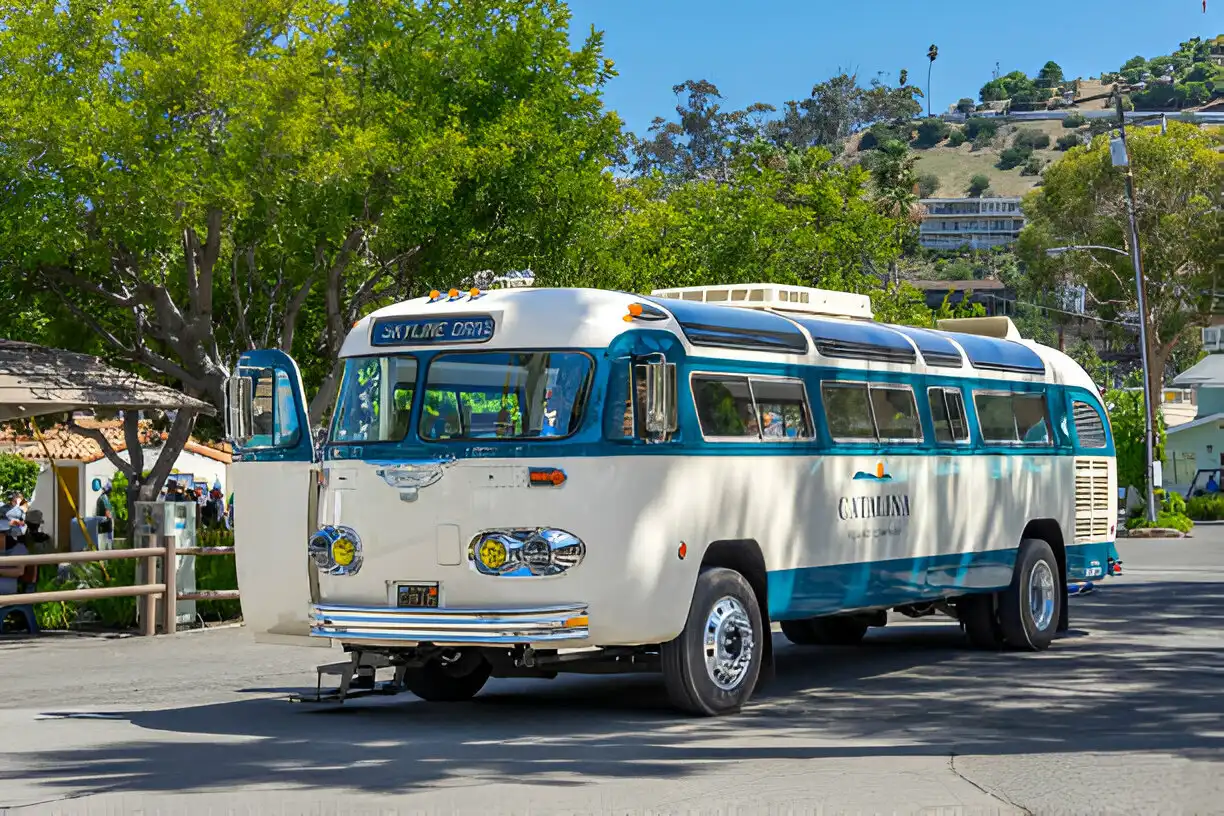 Transportation Options in Catalina Island