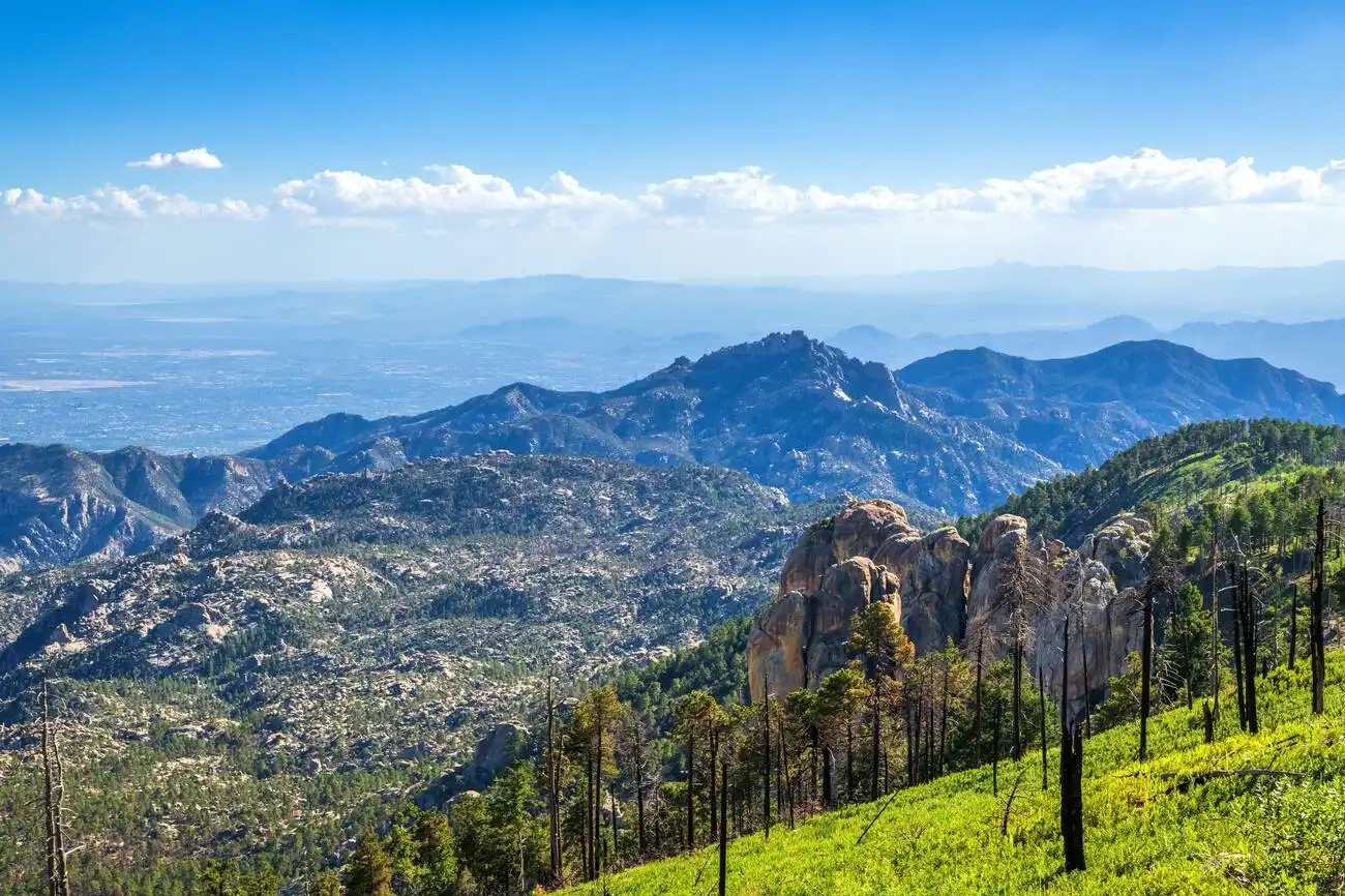 Catalina Island Conservancy