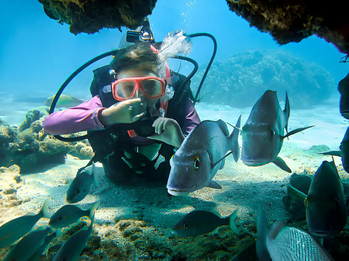 Water Activities on Catalina Island 