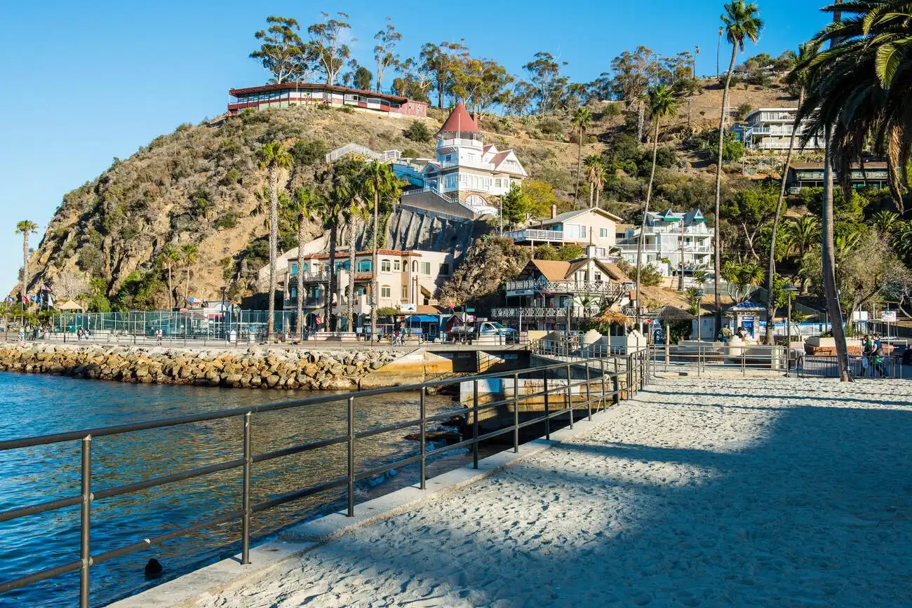 Catalina Island in July