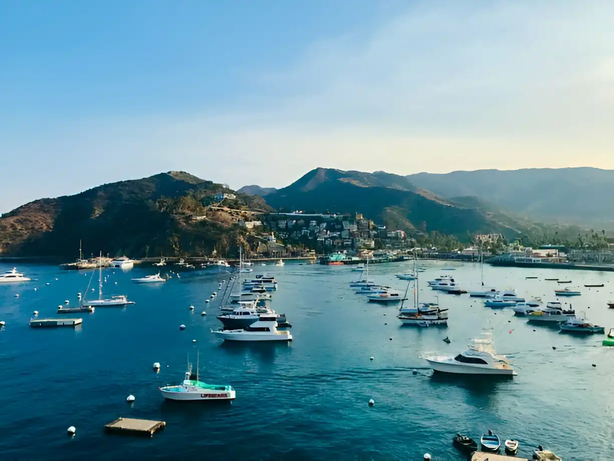 Catalina Island in May