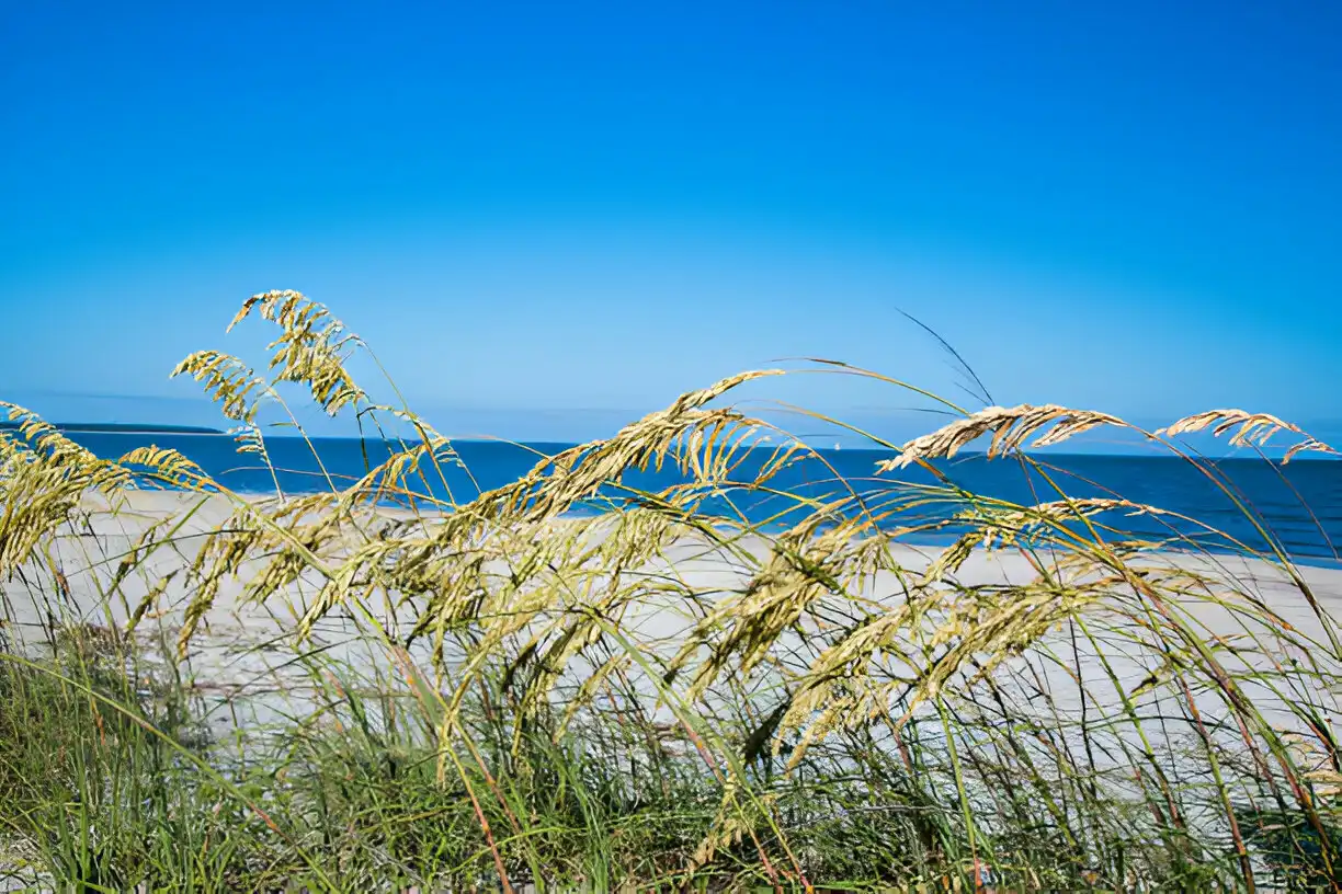 How Big is Daufuskie Island?