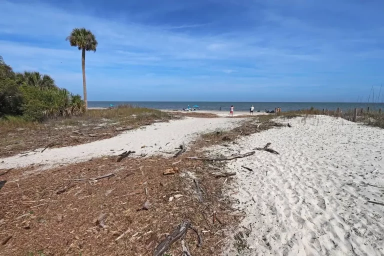 How Big is Daufuskie Island?