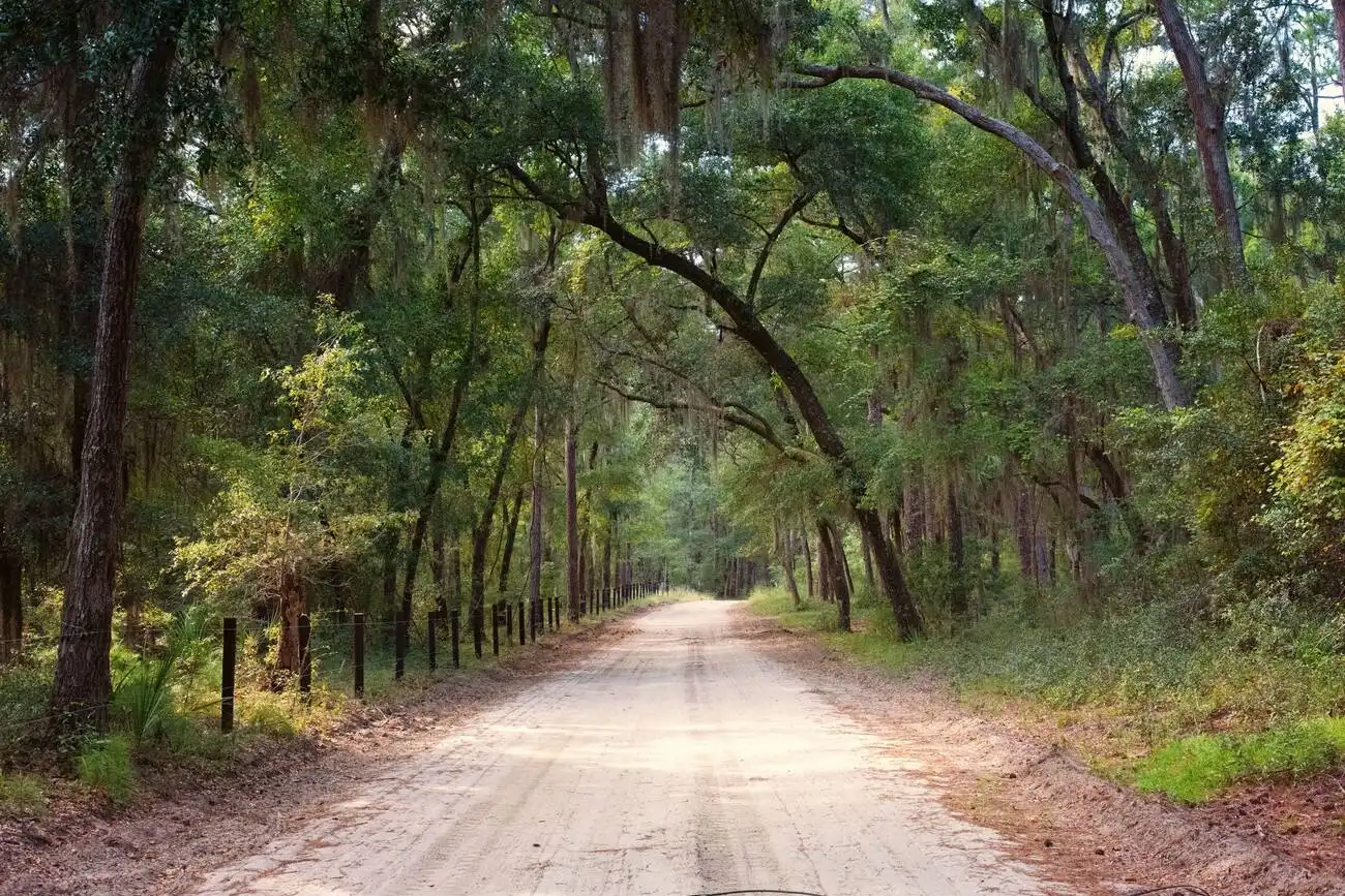 How Big is Daufuskie Island?