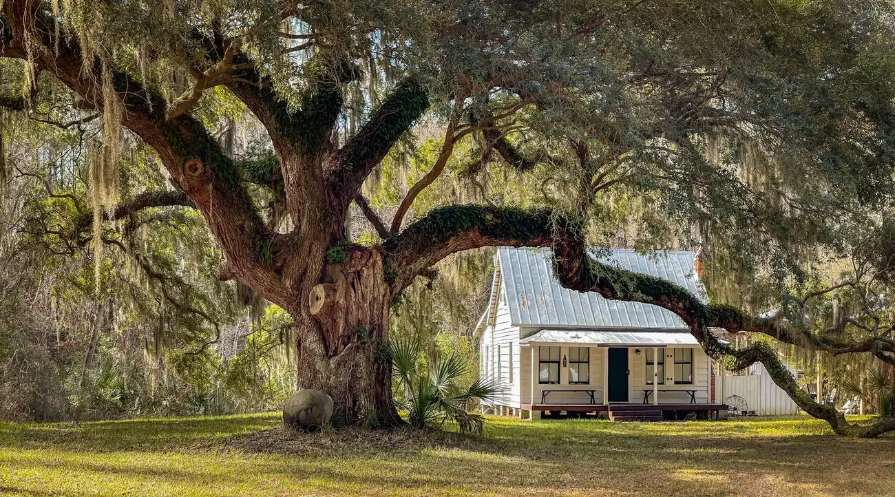 Where is Daufuskie Island?