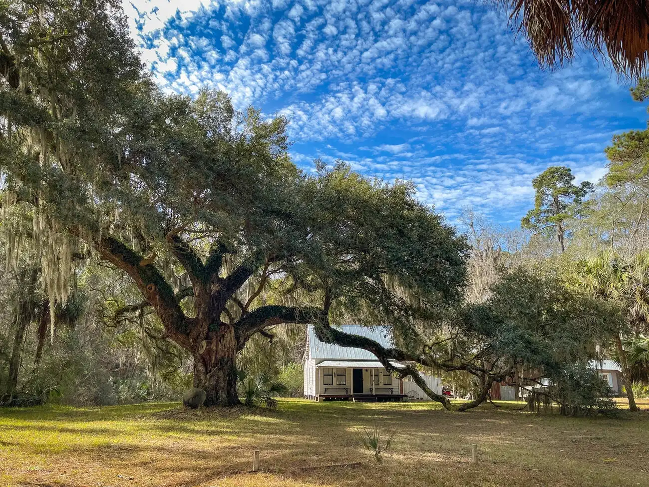 Best times to visit Daufuskie Island