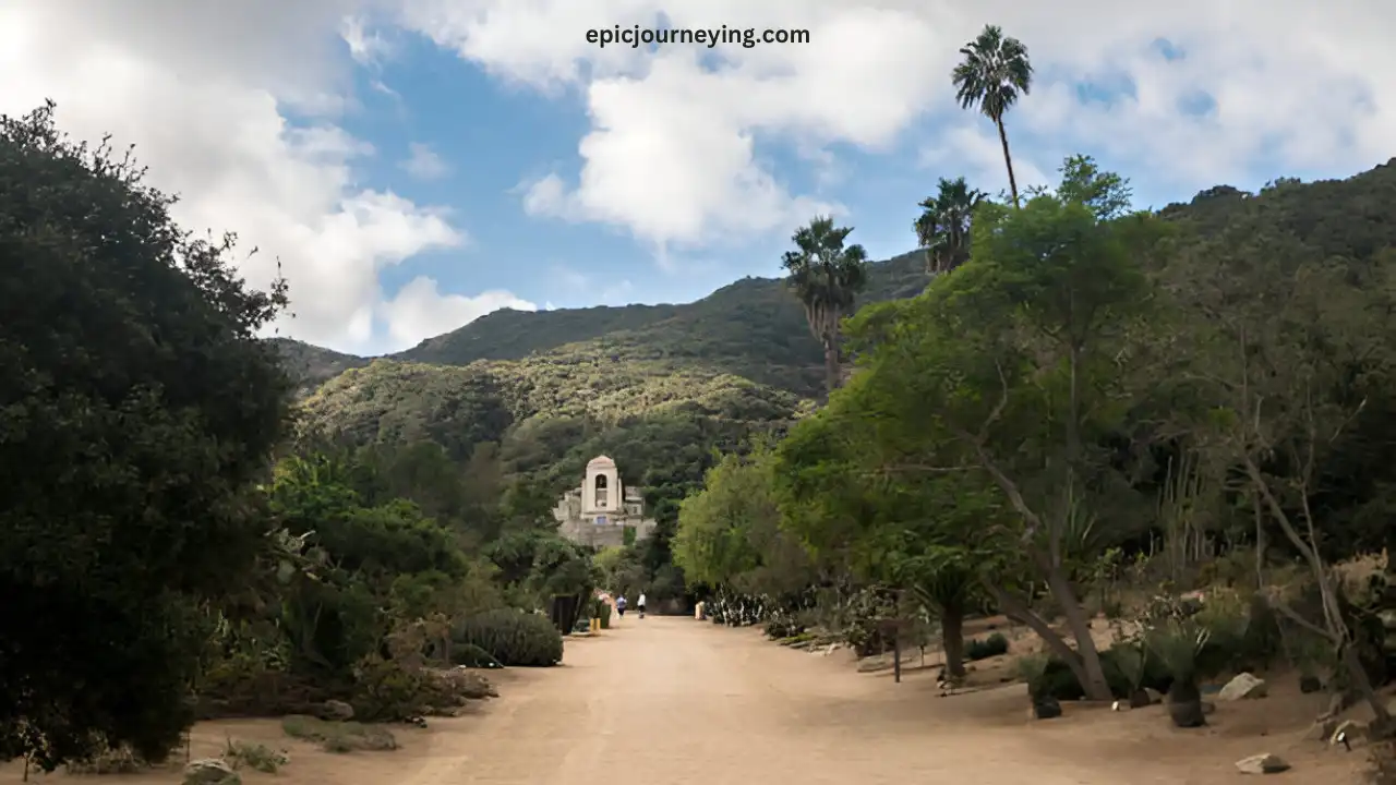 Santa Catalina Island Ecology and Wildlife