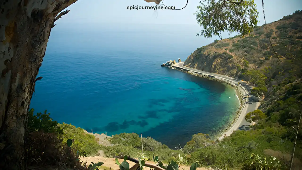 Snorkeling and Scuba Diving in Santa Catalina Island