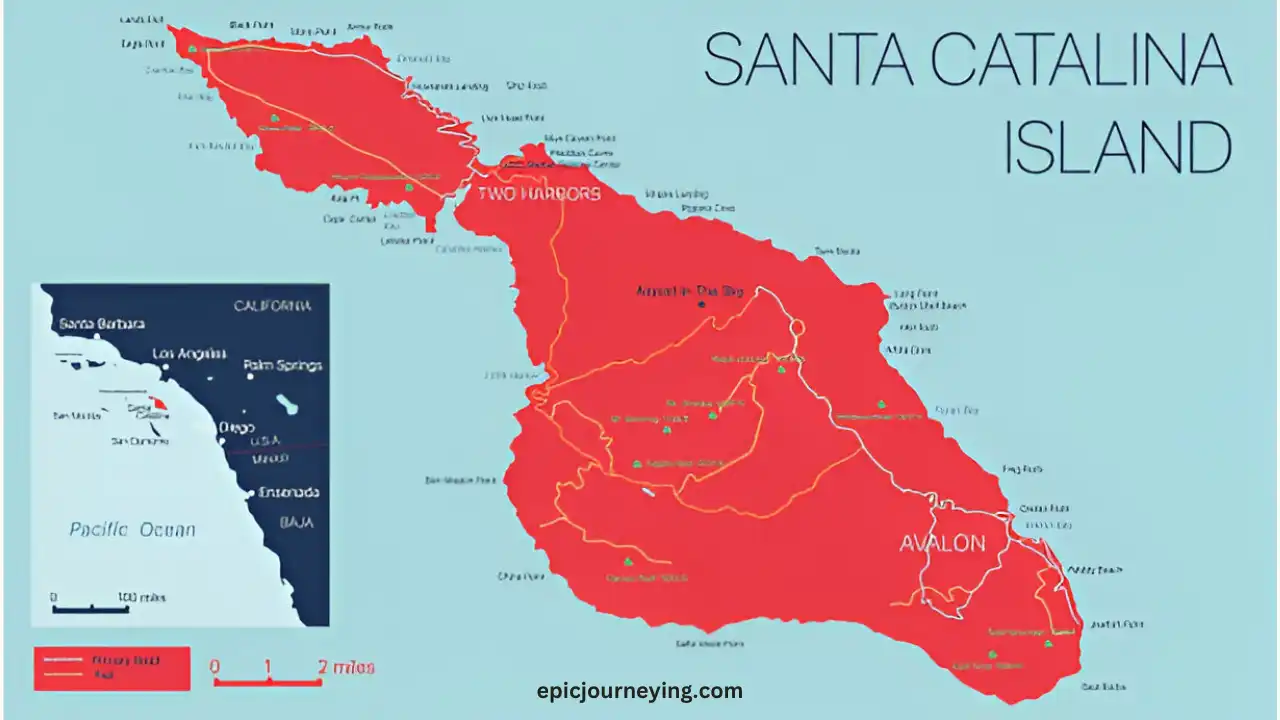 Where is Santa Catalina Island?